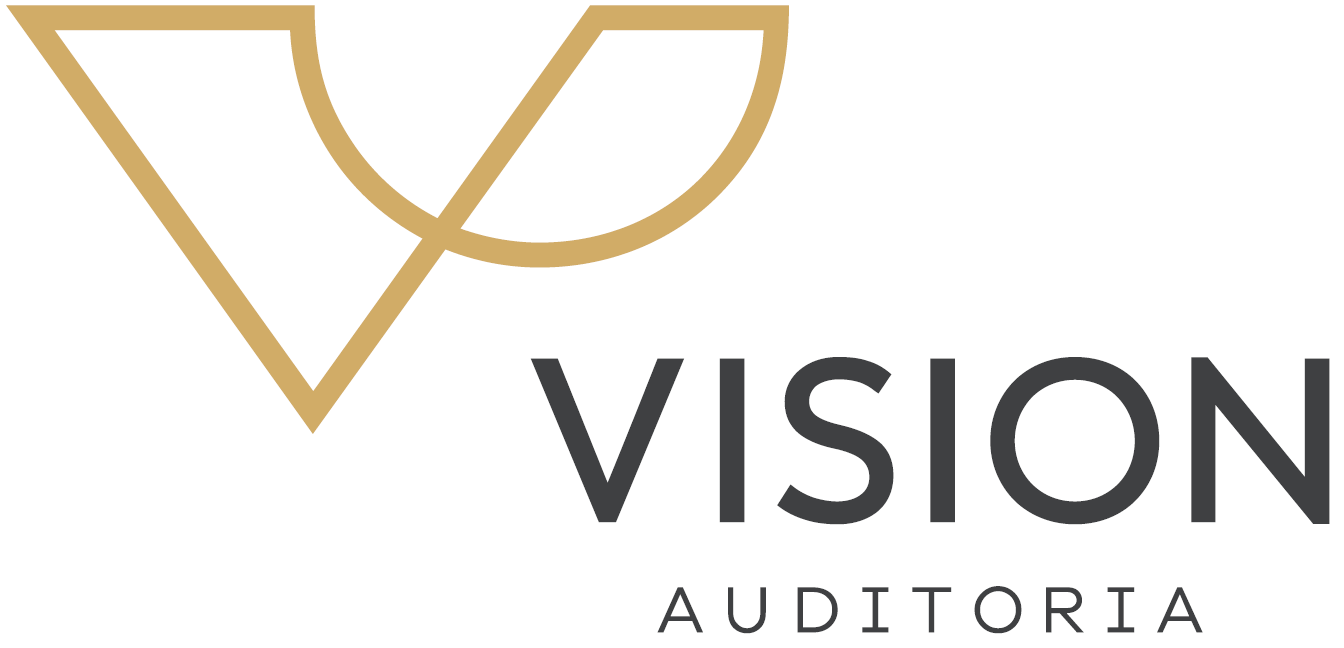 Vision Auditoria Ltda Logo