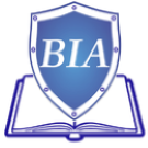 Balans-Inform-Audit, LLC Logo
